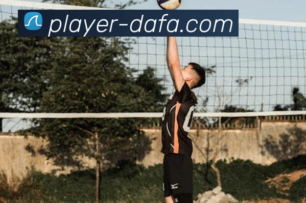 大发官网发展历程